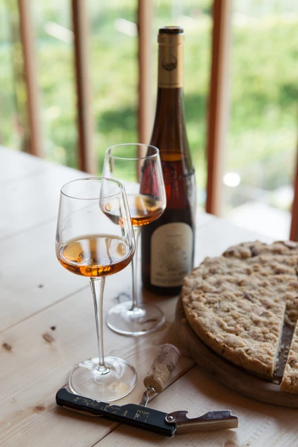 Wine tasting in a Trentino winery in the Valle dei Laghi 9